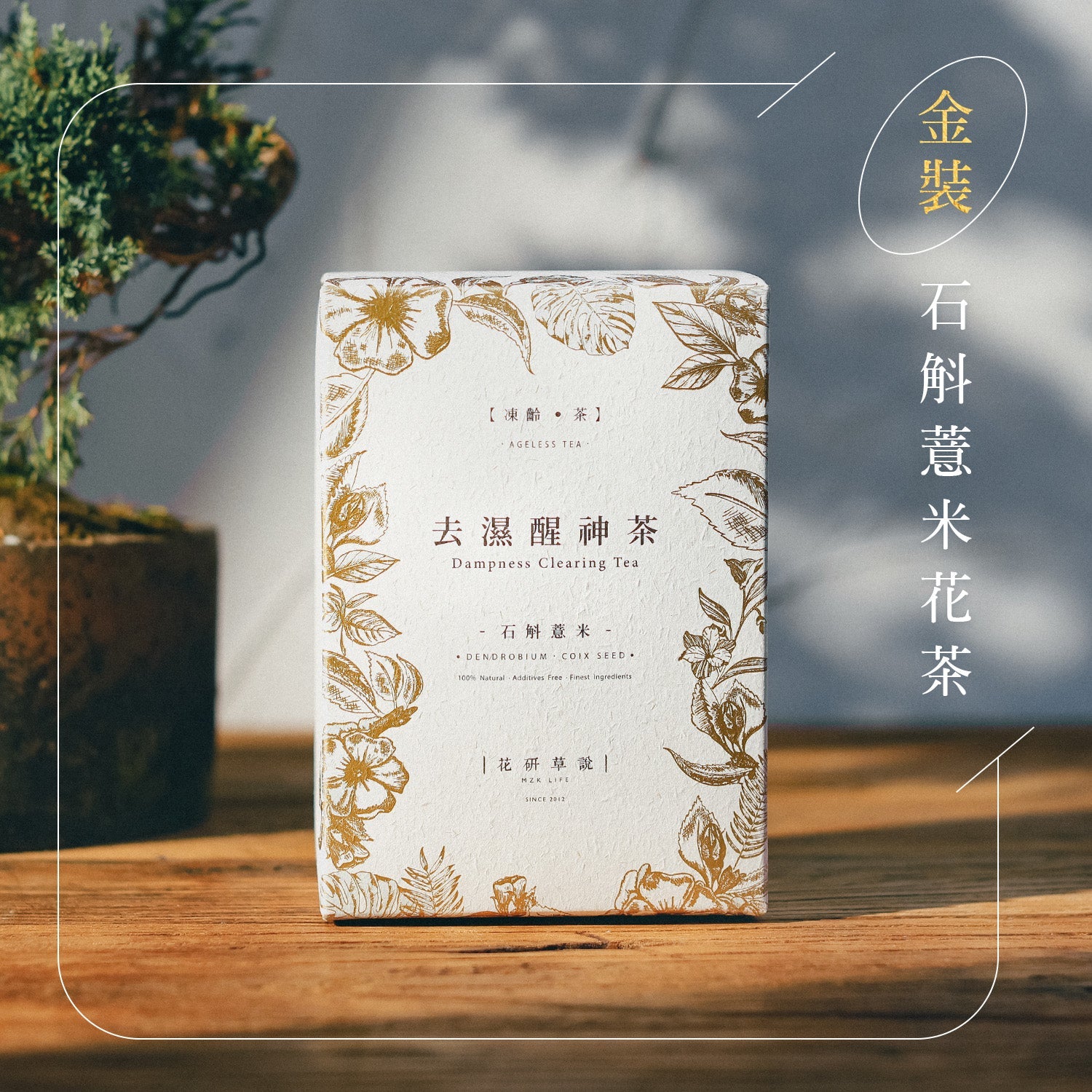 (贈品)金 裝 石 斛 薏 米 花 茶 - 金裝單盒裝